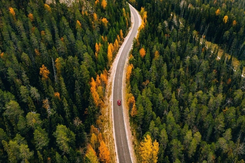 An aerial view of a red car driving through a forest area.