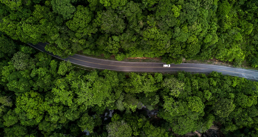 Aerial view of a car driving in a forest road.