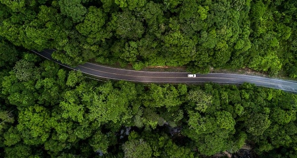 An EV is driving on the road in the forest.