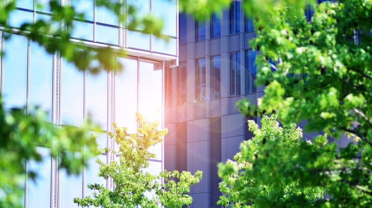 Ein Wolkenkratzer, in dessen Fenstern sich das Sonnenlicht spiegelt, mit grünen, belaubten Bäumen am Rande des Bildes, die den Blick auf das Gebäude verdecken.