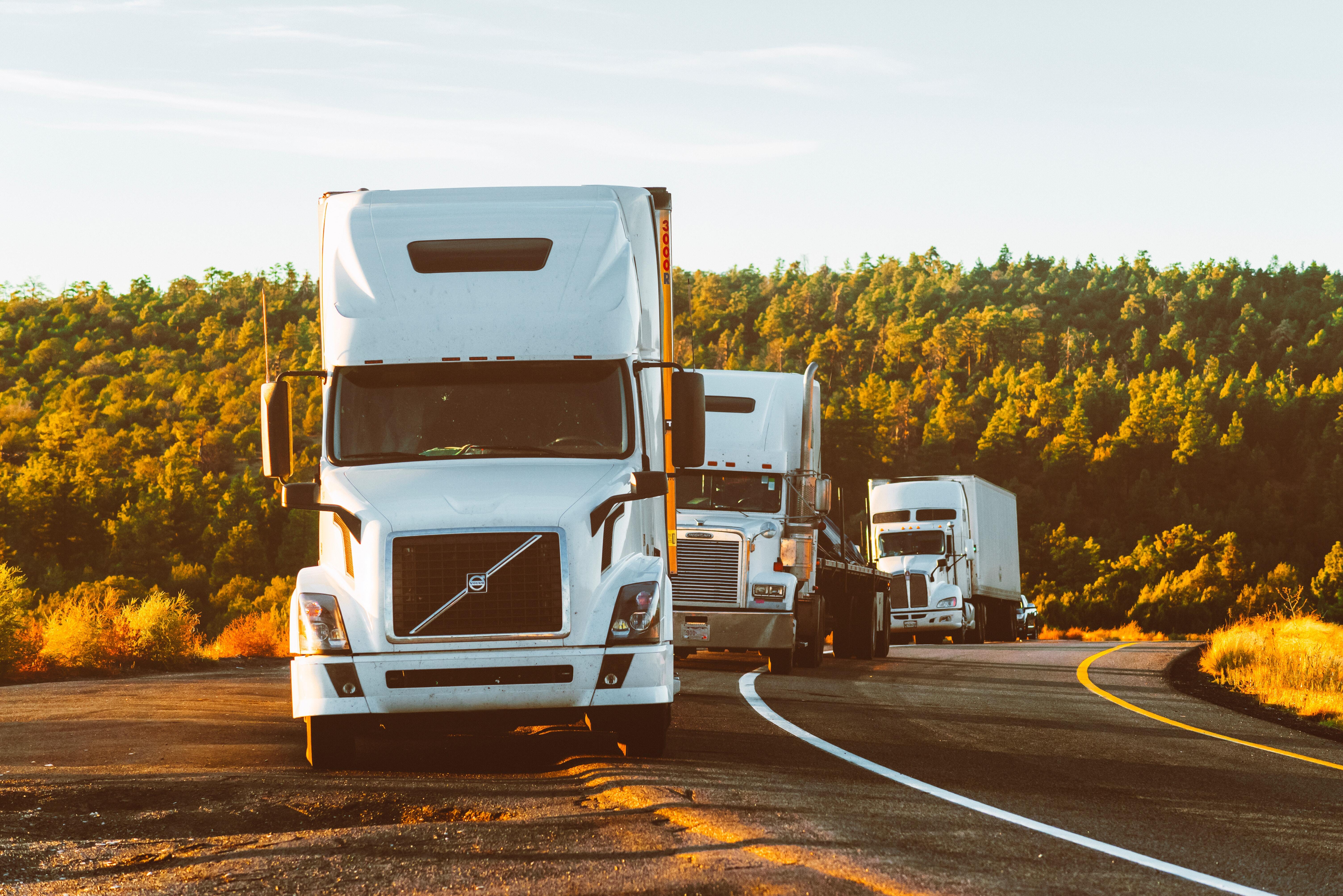 Drie witte vrachtwagens op een rij geparkeerd langs de weg voor een bos tijdens zonsondergang